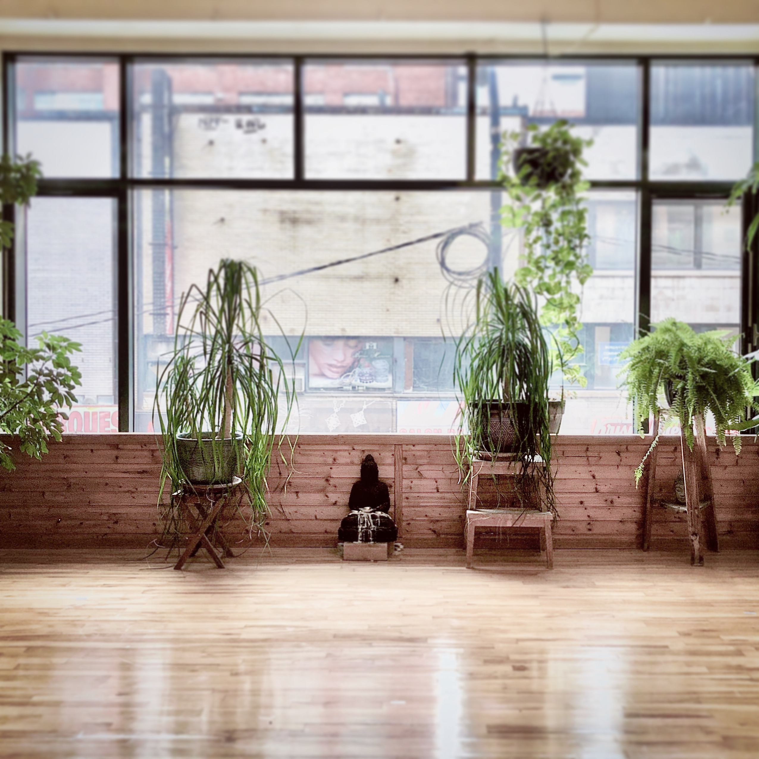 Le studio Ashtanga Yoga Montreal